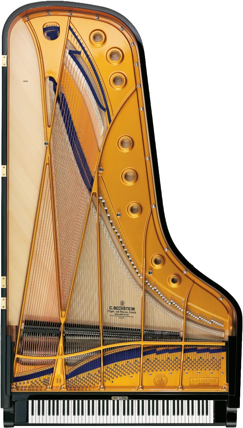 Bechstein Fluegel Draufsicht 2023