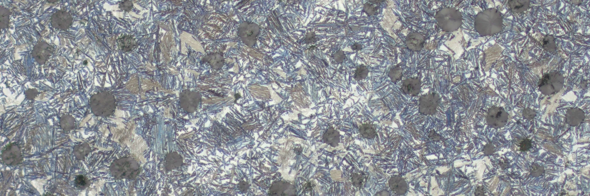 Adi Schliffbild Header