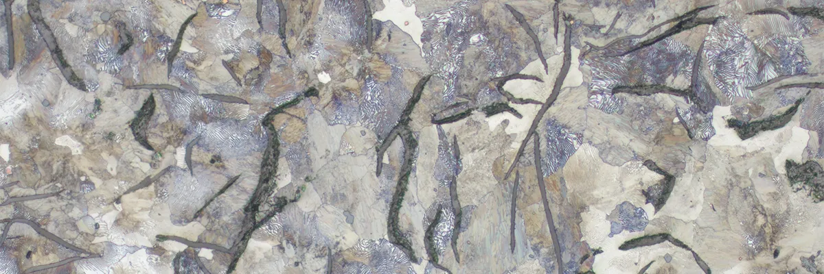 Grauguss Header Schliffbild