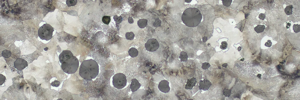 Sphaeroguss Schliffbild Header